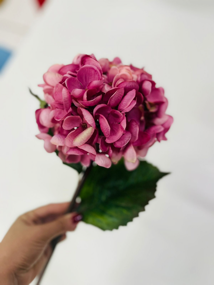 Hortensia haste rosa escura