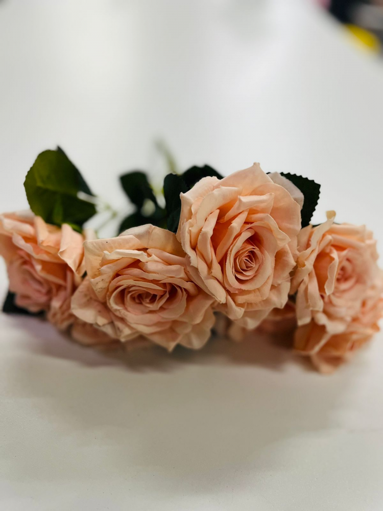 Buque rosa jenny salmon