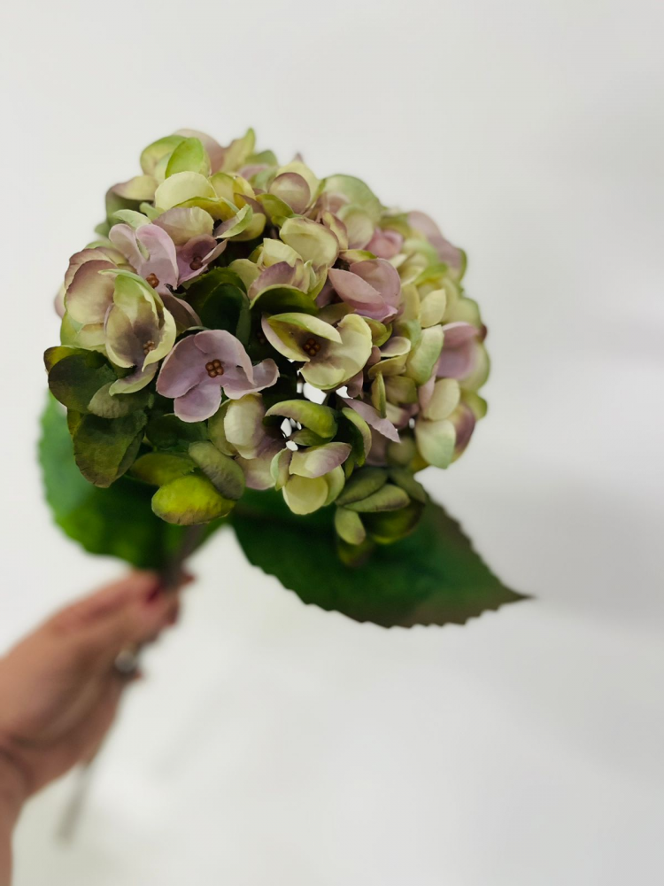 Hortensia haste lilás com verde