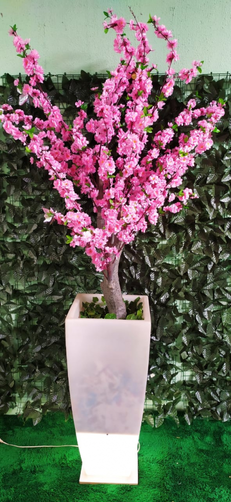 Pessegueira rosa com vaso luminoso