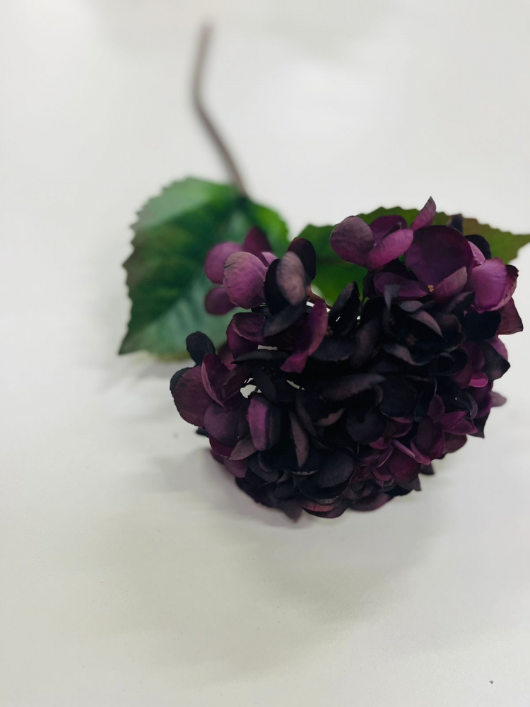 Hortensia haste roxa