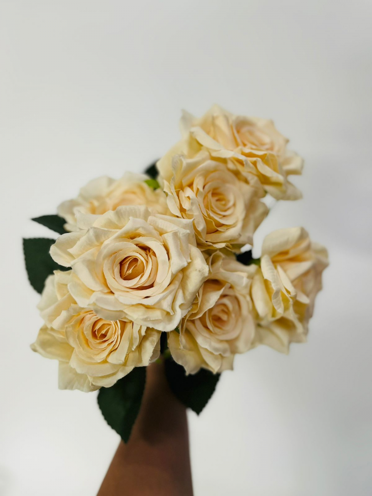 Buque rosa jenny marfim
