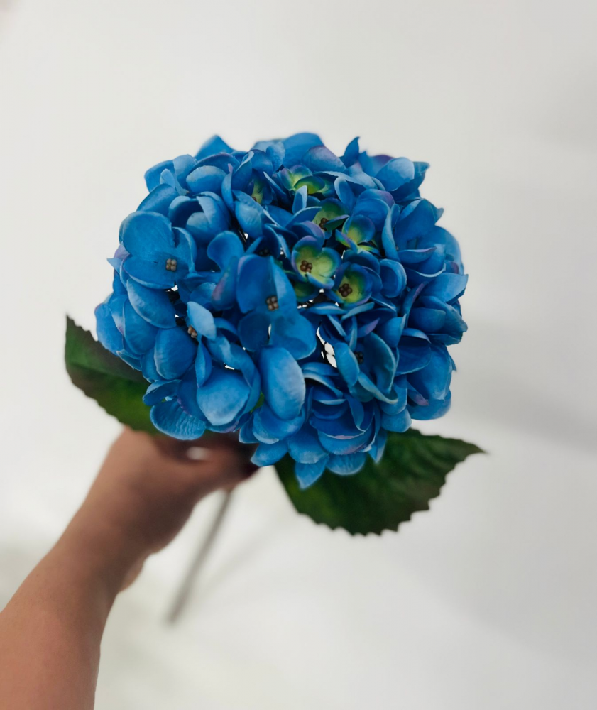 Hortensia haste azul royal 