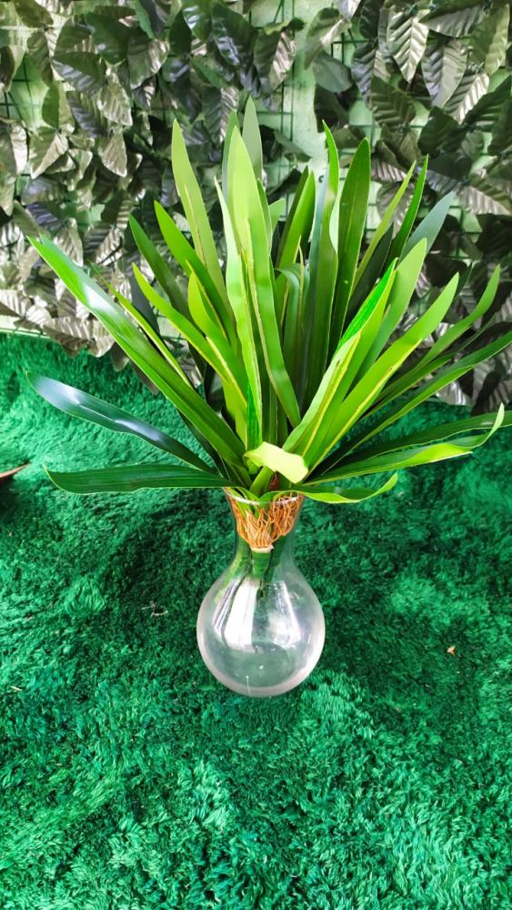 Folhas verdes