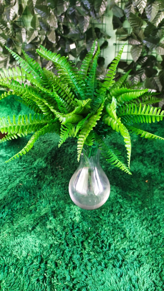 Samambaia verde